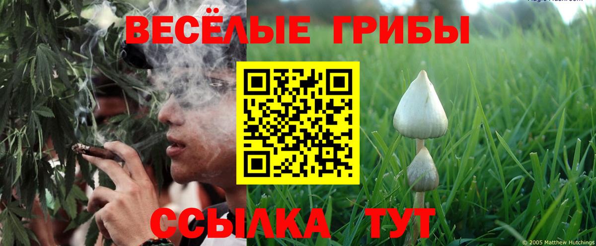 Псилоцибиновые грибы мицелий Коркино